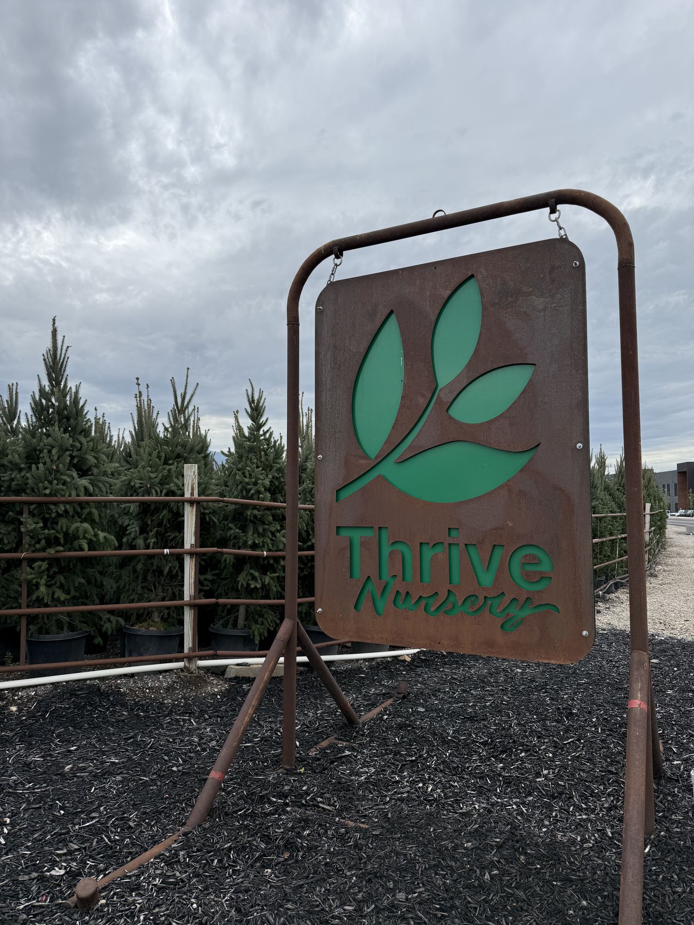 The Thrive Nursery sign at the entrance to the yard